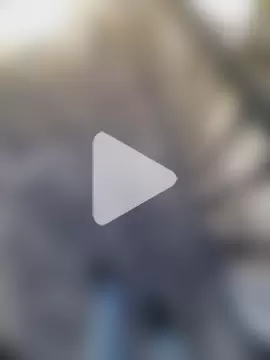 jonidasindias photo 2