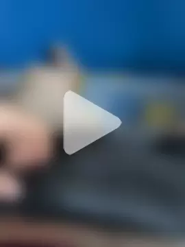 juan41050 photo 6