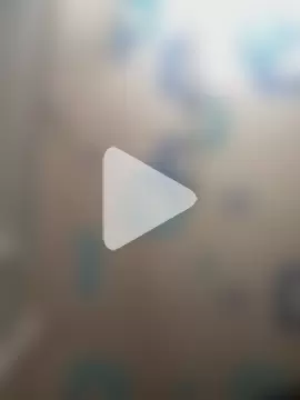 juniordotado87 photo 18