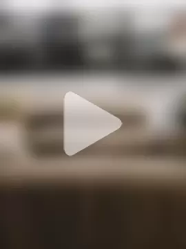 juniortche1313 photo 24