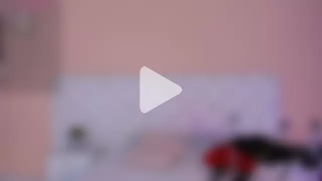 katte_landerr photo 10