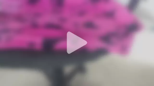 kevintyler69 photo 1