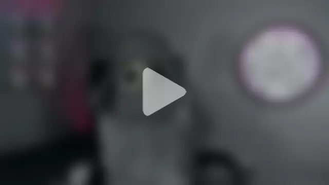 khriss_brown photo 13