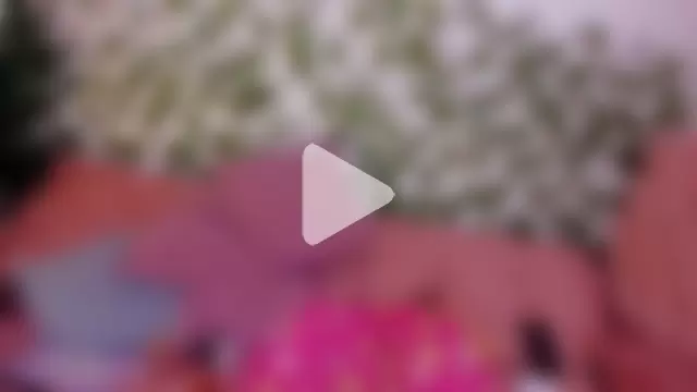 kimmysantoo photo 30