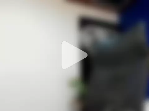 king_falconer photo 29