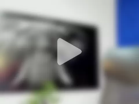 king_falconer photo 4