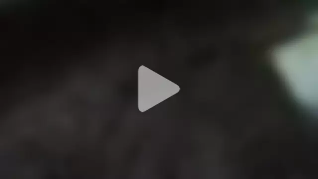 kingdennis6666 photo 4