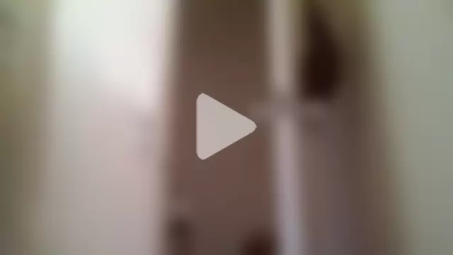 kingdennis6666 photo 3