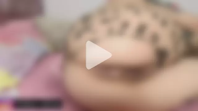 kitty_oficiall photo 28