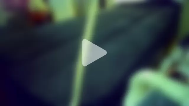 kramkockintawny photo 22