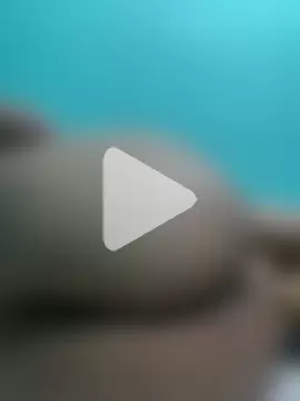 kylieputinha photo 1