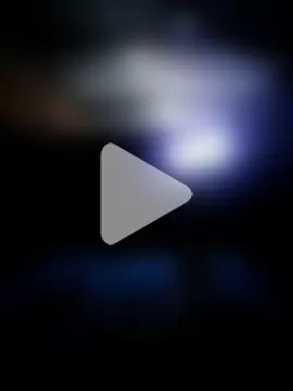 lady_and_charly photo 2