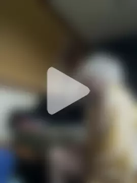 ladyboatlady photo 4