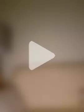 larizinha2026 photo 7