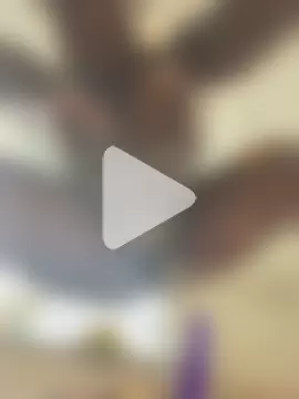 leakysushicat photo 12