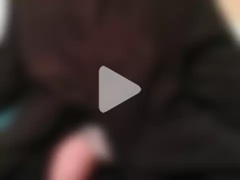 leancock1234 photo 7