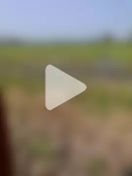 leelavathi-telugu photo 2