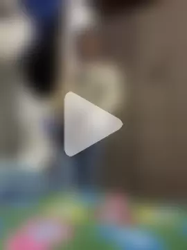 leinad_or97 photo 12