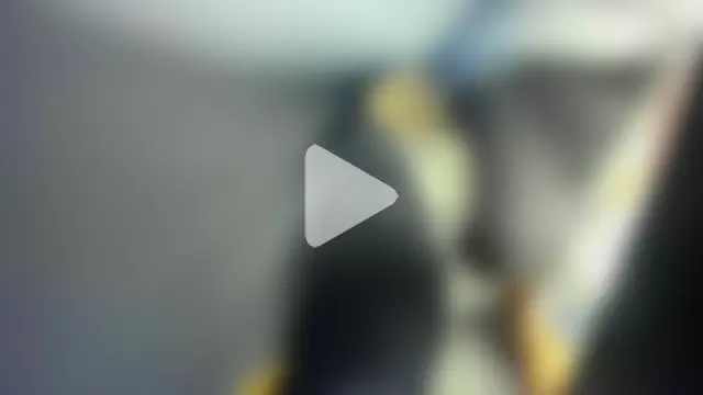 leondevereda photo 11