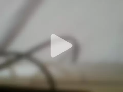 lilbaby15333 photo 29