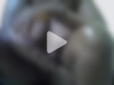 lilbaby15333 photo 16