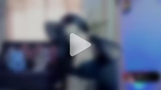 linda_zaam83866 photo 18