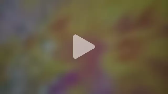 littleboy720 photo 3