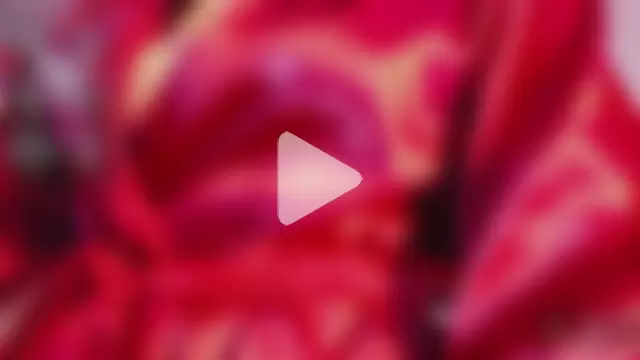 littleebluee photo 10