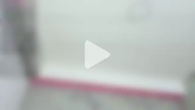 littleebonymommy photo 6