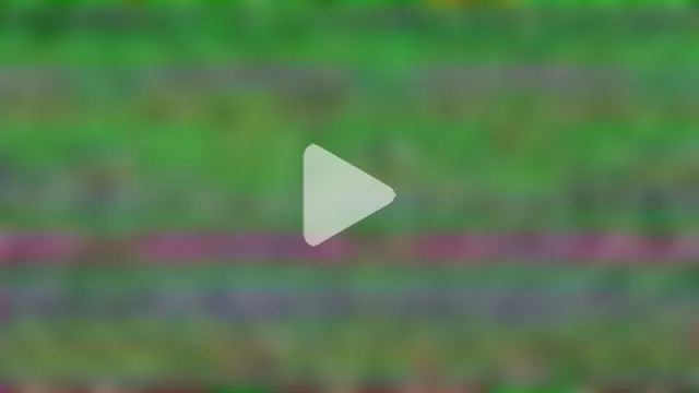 littlemolly11 photo 3