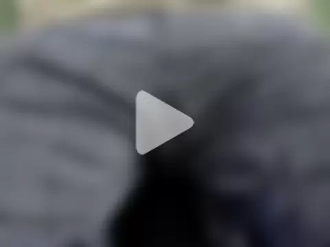 localboybbsr photo 9