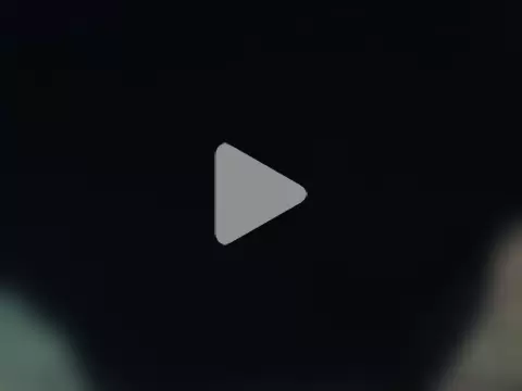 lollaxjf photo 19