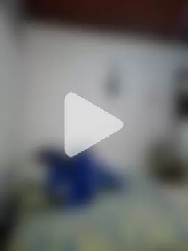 lombarlana-89 photo 19