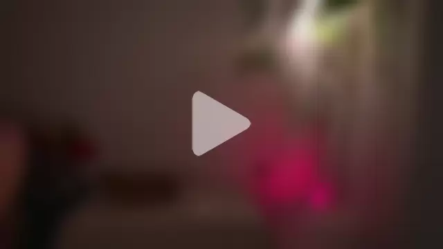 lorrie_love_story photo 18