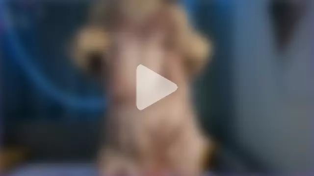 lovely_angell photo 2