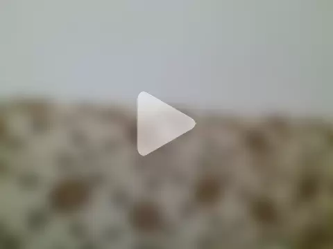 luciferalpha1231 photo 30