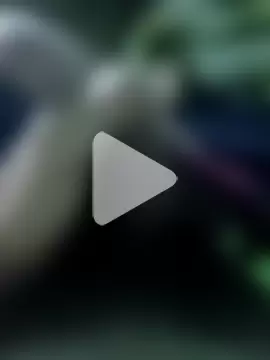 lundkaraja8084 photo 5