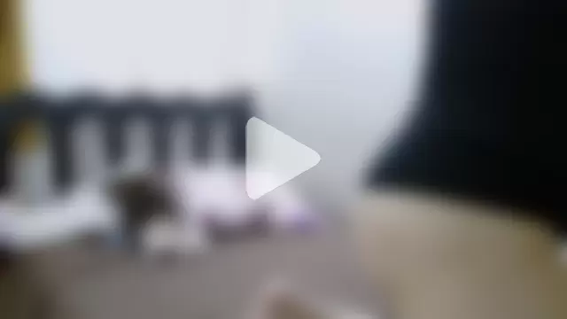 luxandracon23 photo 8