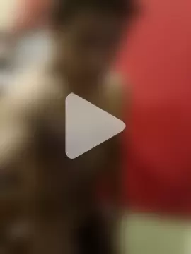 machoactivo1 photo 5