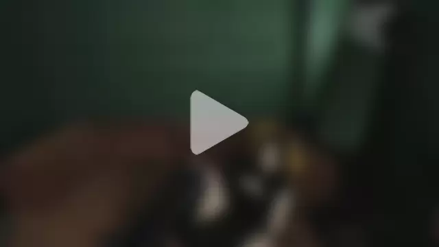 madam_inferno photo 10