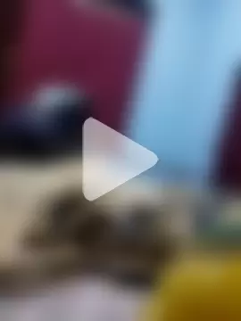 madarasi_chennai photo 6