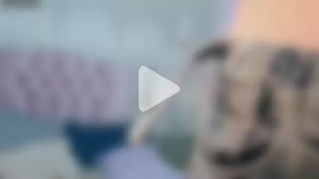 madison_oli photo 30