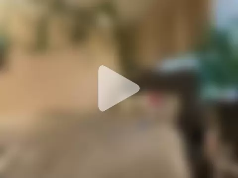 magicalc00ch photo 26