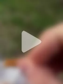 magicdickx21 photo 13