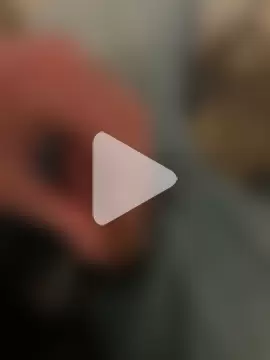 magicdickx21 photo 8