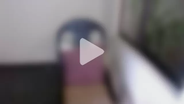 mailer_parsonss photo 15