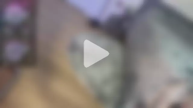 majestic_madam photo 17