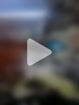 malvadinho69134 photo 3