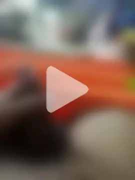 manuelmen211 photo 20