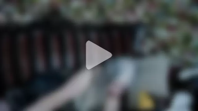 mariabelladonna photo 18